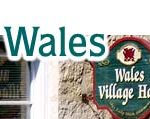Chimney sweep in Wales wi