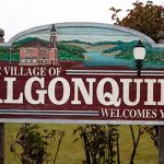 Fireplace Cleaning & Chimney sweep monkey in Algonquin illino