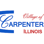 Fireplace Cleaning & Chimney sweep monkey in Carpentersville illinois1