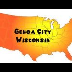 Fireplace Cleaning & Chimney sweep monkey in Genoa City wis