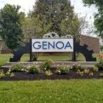 Fireplace Cleaning & Chimney sweep monkey in Genoa illinois1