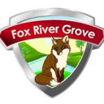 Fireplace Cleaning & Chimney sweep monkey in Fox River Grove illinois