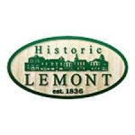 Furnace Chimney Liner Installation in Lemont illinois1