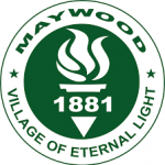 Furnace Chimney Liner Installation in Maywood illinois1