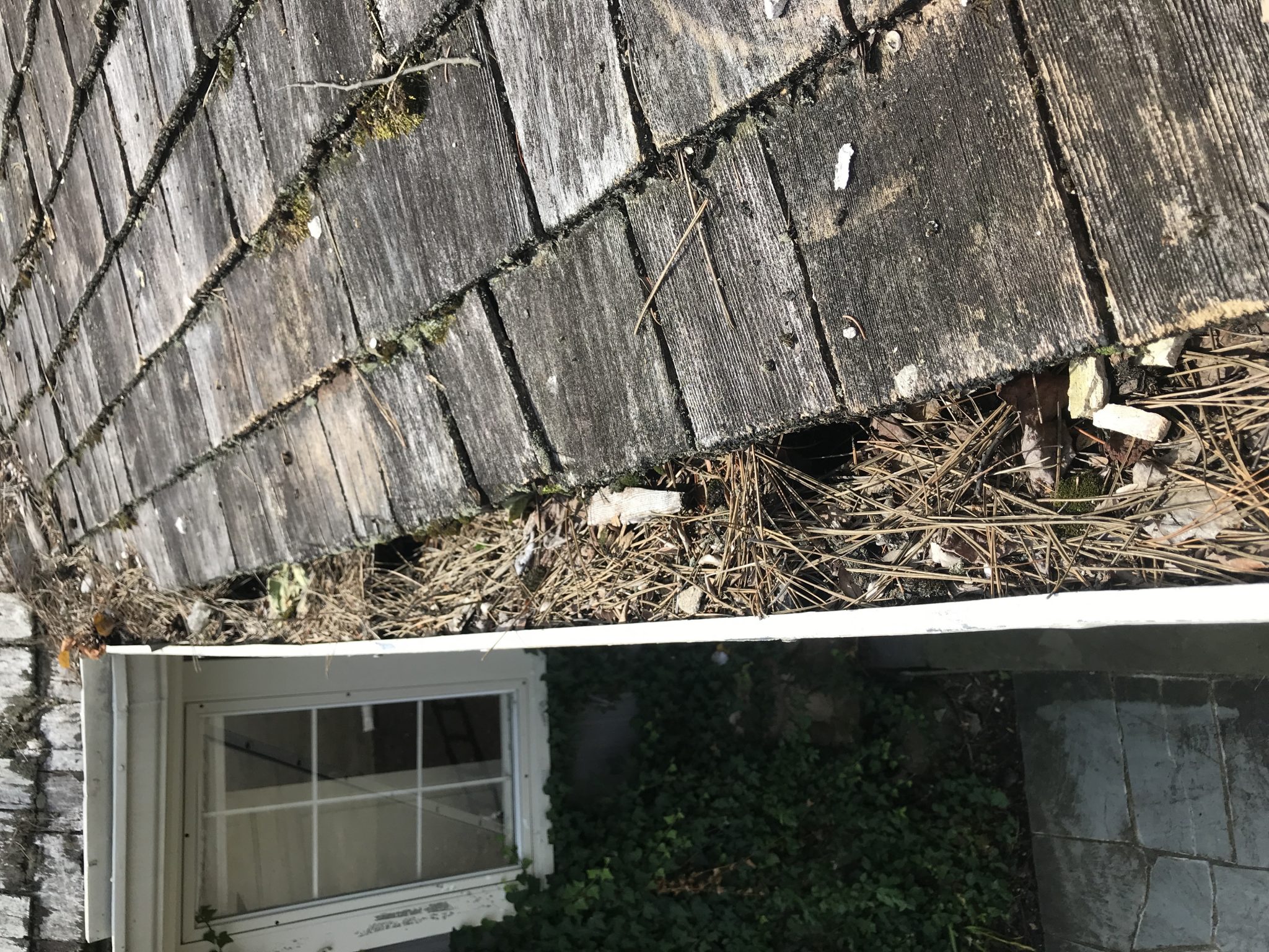 Gutter Cleaning in Chicago